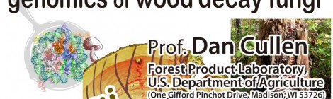 国際交流セミナー: Recent advances on genomics of wood decay fungi