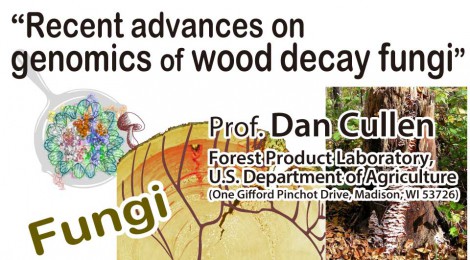 国際交流セミナー: Recent advances on genomics of wood decay fungi