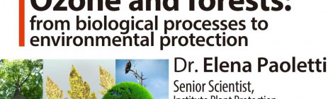 Ozone and forests: from biological processes to environmental protection