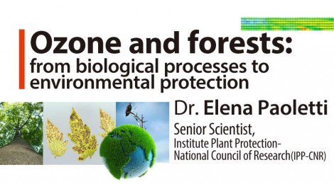 Ozone and forests: from biological processes to environmental protection