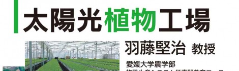 太陽光植物工場