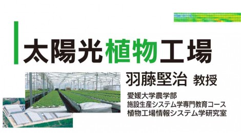 太陽光植物工場