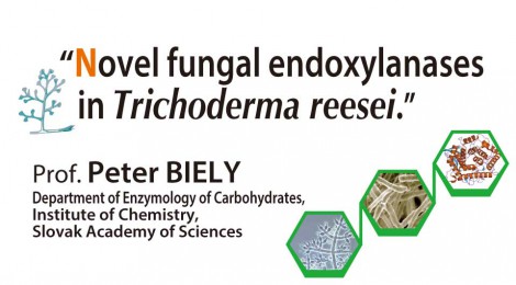 Novel fungal endoxylanases in Trichoderma reesei.
