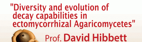 Diversity and evolution of decay capabilities in ectomycorrhizal Agaricomycetes