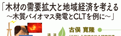 木材の需要拡大と地域経済を考える ~木質バイオマス発電とCLTを例に~