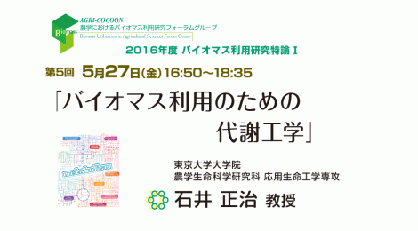 バイオマス利用のための代謝工学