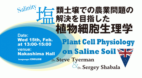 塩類土壌での農業問題の解決を目指した植物細胞生理学