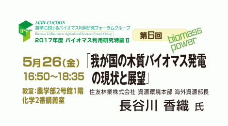 第6回バイオマス利用研究特論Ⅱ「我が国の木質バイオマス発電の現状と展望」