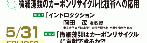 微細藻類のカーボンリサイクル化技術への応用