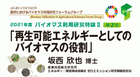 再生可能エネルギーとしてのバイオマスの役割