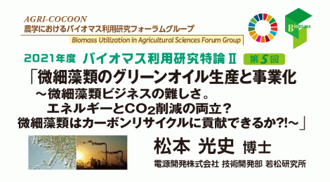 微細藻類のグリーンオイル生産と事業化  ～微細藻類ビジネスの難しさ。エネルギーとCO2削減の両立？ 微細藻類はカーボンリサイクルに貢献できるか?!～