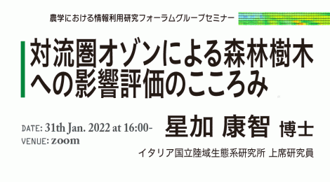 対流圏オゾンによる森林樹木への影響評価のこころみ