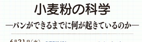 小麦粉の科学 ―パンができるまでに何が起きているのか―