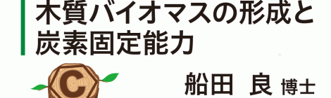 木質バイオマスの形成と炭素固定能力