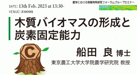 木質バイオマスの形成と炭素固定能力