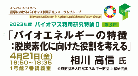 バイオエネルギーの特徴 ：脱炭素化に向けた役割を考える