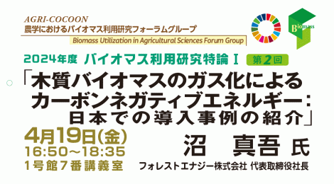 木質バイオマスのガス化によるカーボンネガティブエネルギー： 日本での導入事例の紹介